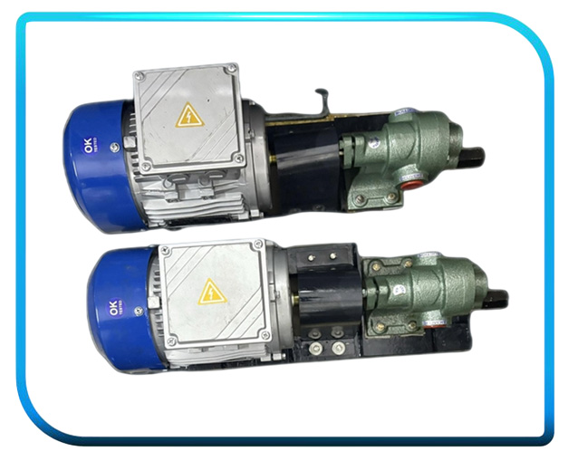 Rotary Gear Pump