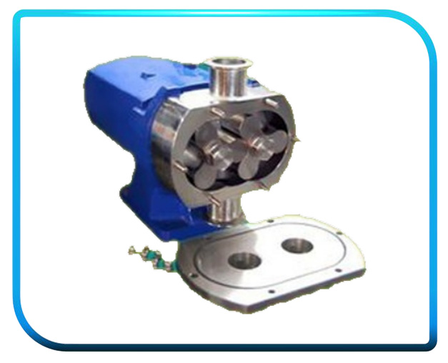 Lobe Pump