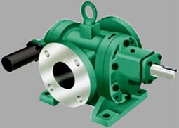 Rotary gear pump