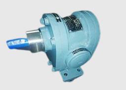 SS Gear Pump